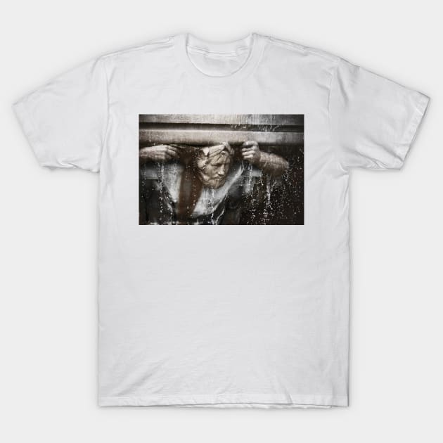 the fountain bearer T-Shirt by lastgasp